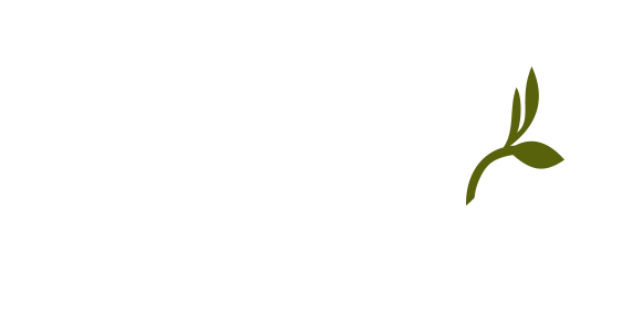 Léa Massage & Soins